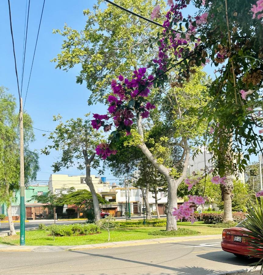 Casa Verde Jesus Maria - Zona Residencial Lima Dış mekan fotoğraf